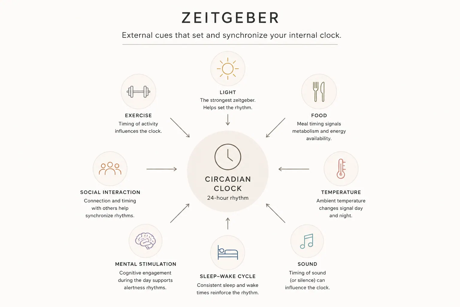 La lumière est le zeitgeber primaire. Tamisez-la 90 minutes avant le coucher.
